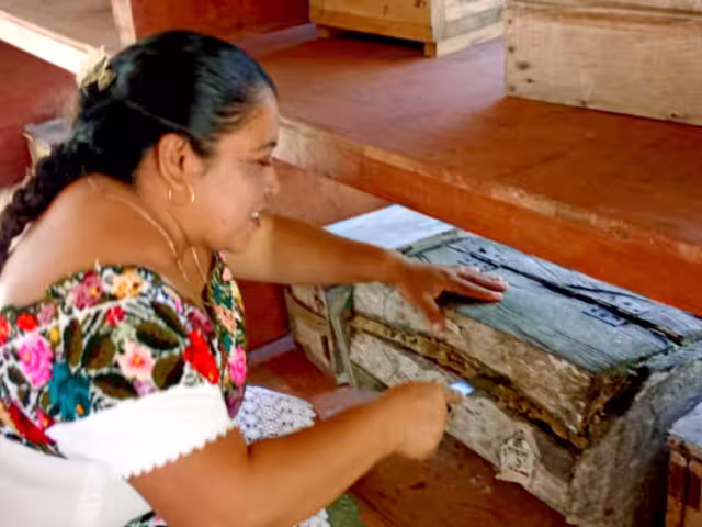 El colectivo “Muuch Kaab” comenzó a trabajar, en el 2006, con la abeja melipona; actualmente han diversificado su fabricación a 19 productos