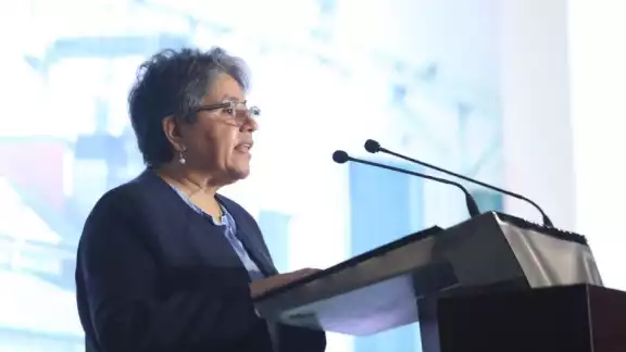Raquel Buenrostro, Secretaria de Economía en México, favoreció el MLRR
