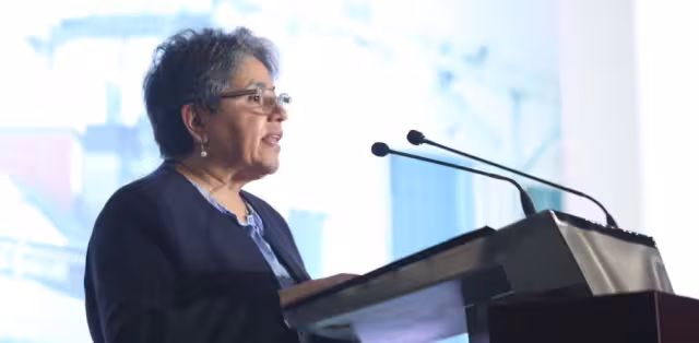 Raquel Buenrostro, Secretaria de Economía en México, favoreció el MLRR