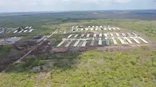 Expondrán ante la Profepa pruebas de daños   ambientales por granjas porcícolas  en Yucatán