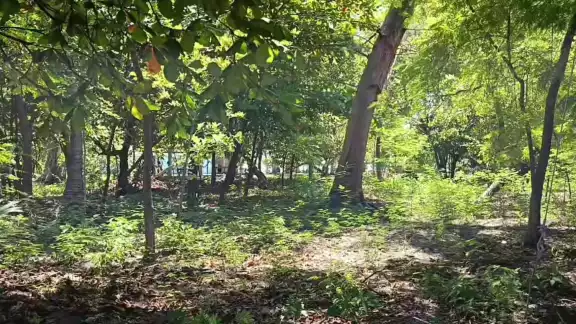 Semarnat recibe solicitud para habilitar corredor turístico peatonal en Isla Aguada
