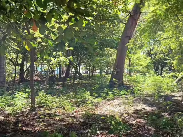 Semarnat recibe solicitud para habilitar corredor turístico peatonal en Isla Aguada