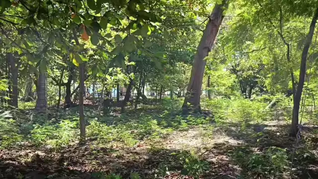 Semarnat recibe solicitud para habilitar corredor turístico peatonal en Isla Aguada