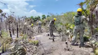  Incendio forestal  en Holbox bajo control: Unas 500 hectáreas de selva fueron destruidas por las llamas