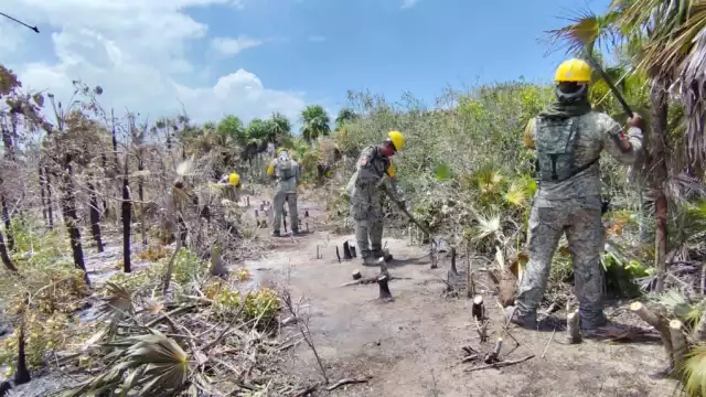 Los combatientes tardaron ocho días en labores; las llamas no daban tregua