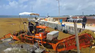 Continúa retiro de sargazo en costas de Mahahual