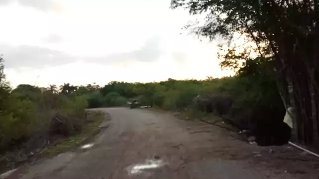 El reporte se realizó desde el jueves; autoridades continúan las investigaciones