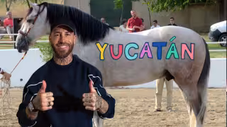 ¿Qué tienen en común Sergio Ramos y Yucatán?