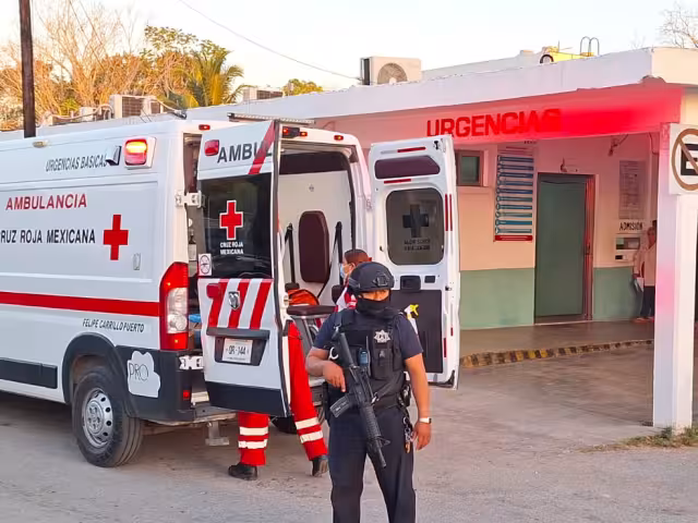 El reporte se dio por una ciudadana quien lo encontró y alertó a las autoridades