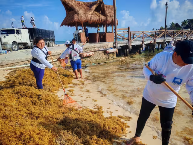 Autoridades exhortaron a los empresarios a mantener limpieza constante en la costa durante la temporada alta, y apoyar con alimentos a los voluntarios