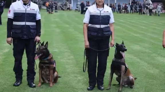 Unidad Canina del INE recibe premio a 'Mejor Perro del Año 2023'