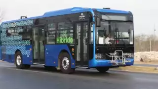 Iniciará programa piloto de transporte público en Chetumal