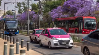 Evita pagar más de 5 mil pesos de multas; los accesorios que NO debes poner a tu auto
