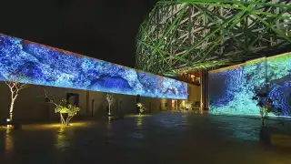 Gran Museo del Mundo Maya abrirá nuevamente sus puertas y ofrecerá recorridos nocturnos, ¿Cuándo serán? 