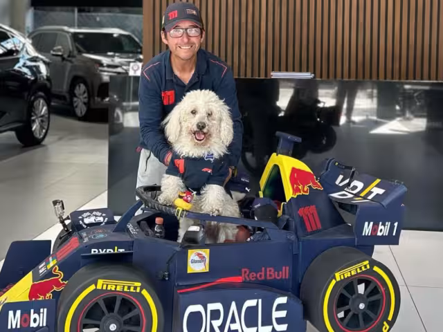 Murió Fabbio, el perrito que era fan de Sergio ‘Checo’ Pérez