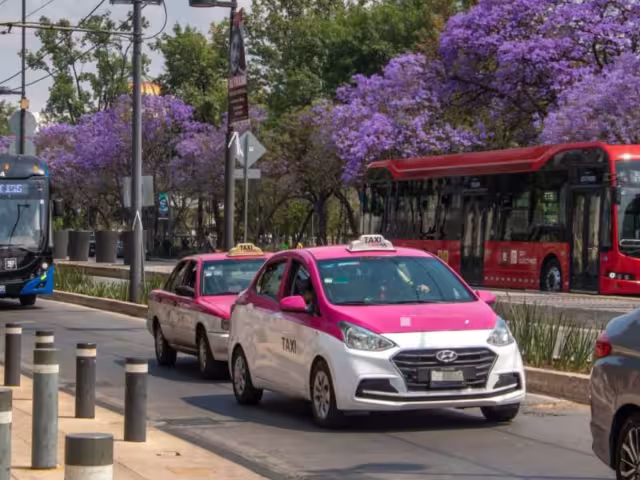Evita pagar más de 5 mil pesos de multas; los accesorios que NO debes poner a tu auto