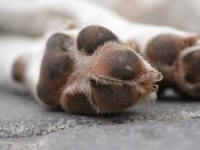 El hecho impactó a los habitantes de la comunidad