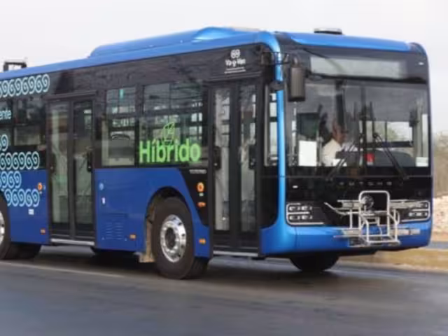 Iniciará programa piloto de transporte público en Chetumal