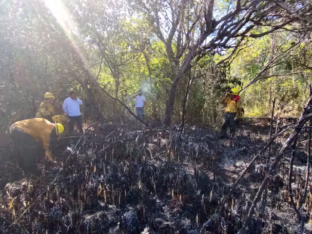 Redujeron riesgos para el siguiente ciclo de incendios