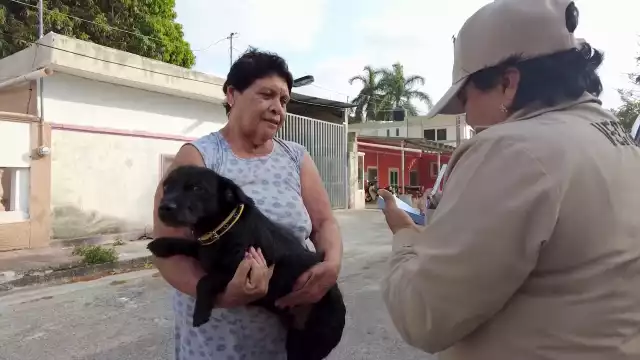 Hoy, 27 de enero, habrá vacunación antirrábica gratuita en Campeche