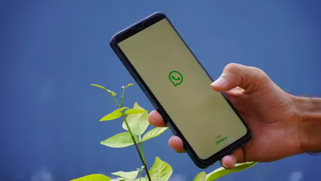 WhatsApp va a tener publicidad en sus canales y estados