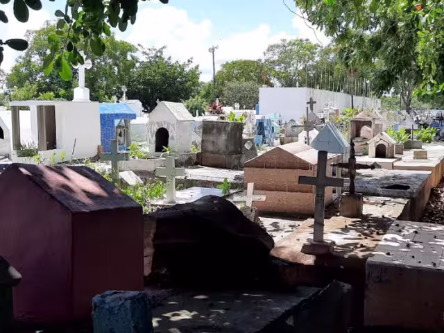 Familiares de los fallecidos y sepultados en el panteón "Los Olivos" ingresaron para la limpieza de tumbas