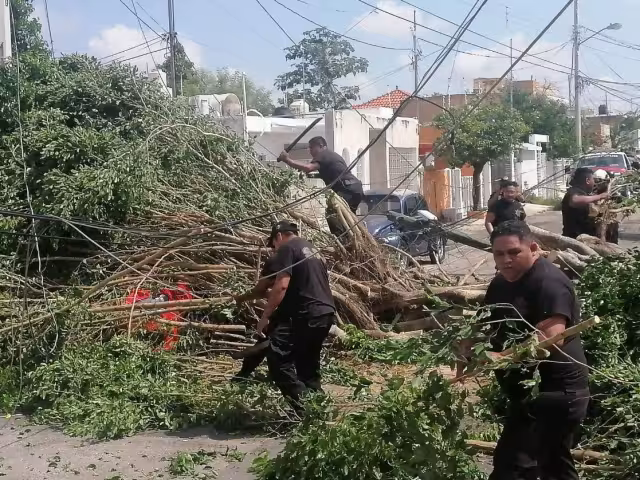 En el percance no se registraron personas lesionadas