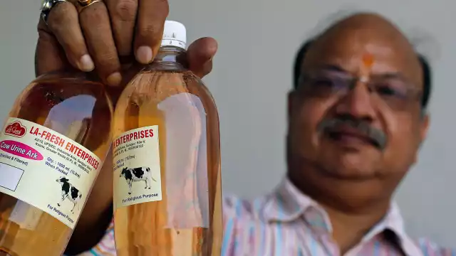 En India venden orina de vaca embotellada como producto medicinal