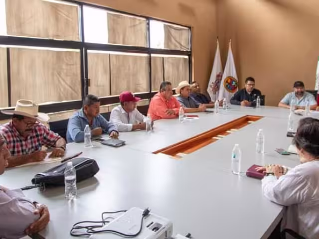 La Secretaría de Desarrollo Agropecuario de Campeche declaró saldo blanco en el sector agrícola tras el paso del Huracán Milton