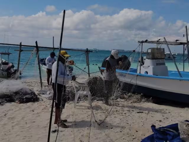 El comportamiento climático ha sido inusual durante los últimos meses