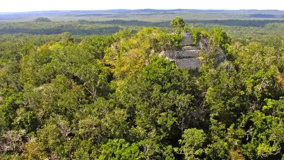 La Danta se ubica en medio de la Reserva de la Biosfera Maya en Guatemala La Danta se ubica en medio de la Reserva de la Biosfera Maya en Guatemala