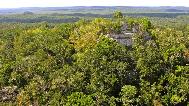 La Danta se ubica en medio de la Reserva de la Biosfera Maya en Guatemala