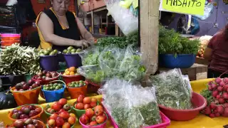 Congreso de Yucatán busca proteger la milpa maya