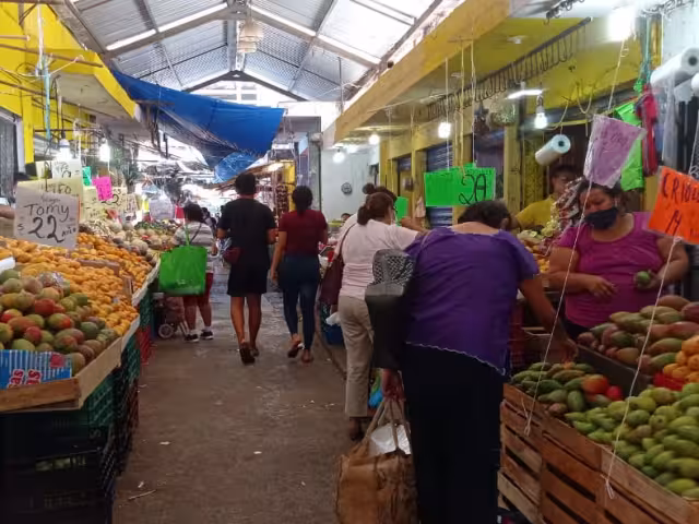 También se colocaron ventiladores nuevos en el área de “chicharroneros”
