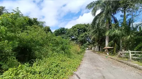 La Central de Abastos en Chetumal continúa sin planes para su desarrollo.