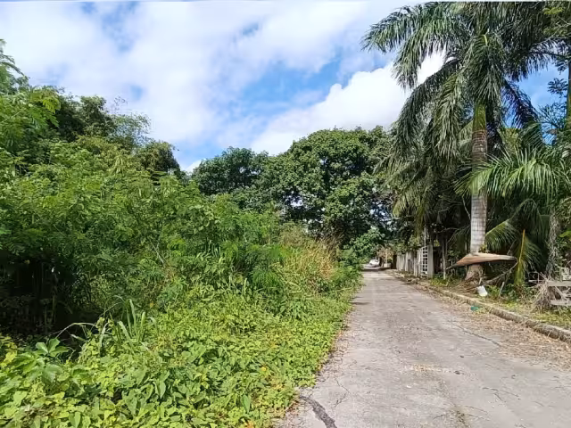 La Central de Abastos en Chetumal continúa sin planes para su desarrollo.