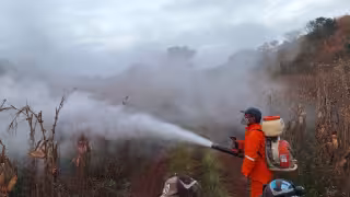 Carmen, Candelaria y Palizada concentran mayor vulnerabilidad de cultivos en 2026