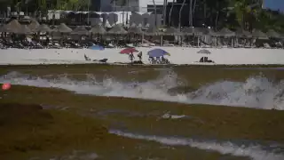 Crisis en el sector náutico de Quintana Roo: Anticipan cierres temporales y descansos sin sueldo