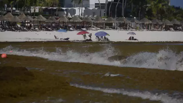 El recale masivo de sargazo en Cancún y la Riviera Maya ha causado que las personas opten por viajar a otros destinos de playa