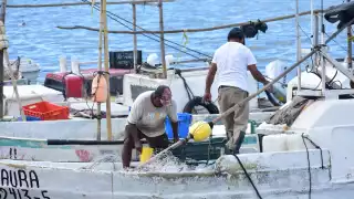 Sector pesquero de Campeche exige fecha de pago por veda y baja captura