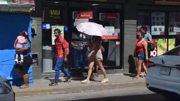 A pesar de que los casos han aumentado en la entidad, no se han registrado fallecimientos por esta causa A pesar de que los casos han aumentado en la entidad, no se han registrado fallecimientos por esta causa
