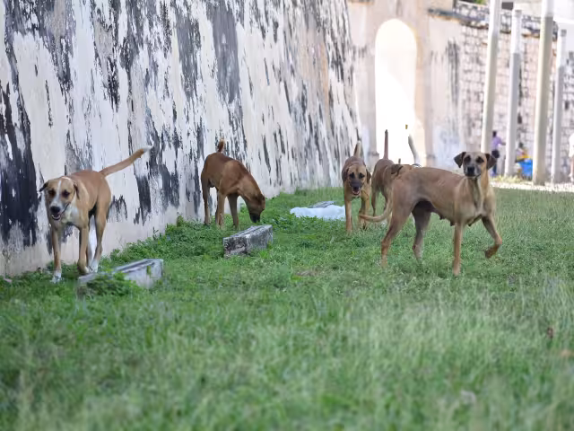 Cinco años después las investigaciones no avanzan