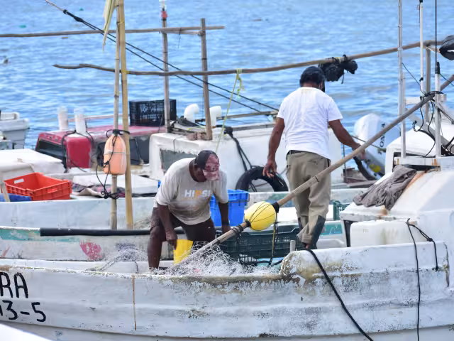 El recurso del Programa de Veda y baja captura es de 4 mil pesos.