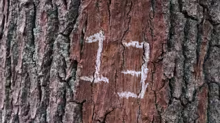 Este es el significado del viernes 13 en la numerología