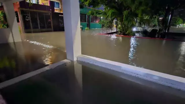 Los peces han salido a las calles provenientes de las lagunas