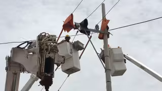 La CFE estaría realizando trabajos de mantenimiento en Kanasín