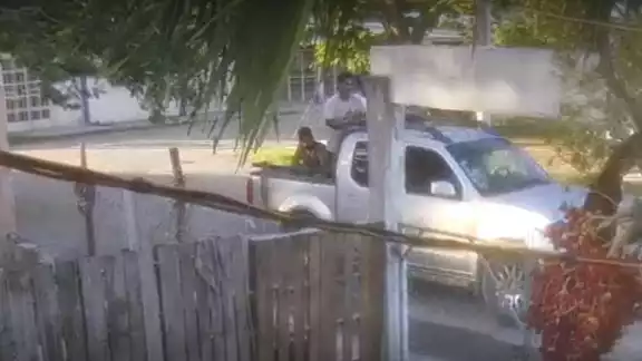 Pareja en motocicleta y sujetos en camioneta roban perros de raza en Champotón Pareja en motocicleta y sujetos en camioneta roban perros de raza en Champotón