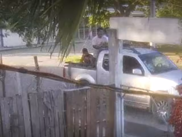 Pareja en motocicleta y sujetos en camioneta roban perros de raza en Champotón