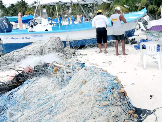 Las pérdidas van de 5 mil pesos en adelante, cuando los objetos son sustraídos