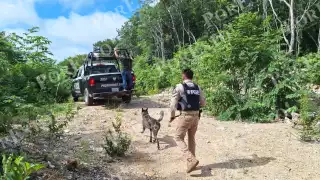 Intensifican búsqueda del profesor de Conalep desaparecido en Felipe Carrillo Puerto